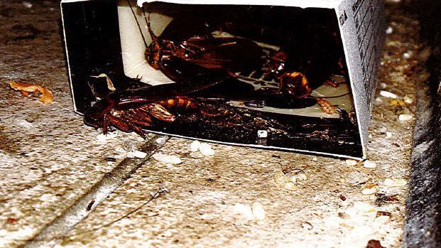 These 13 eateries around Tucson failed health inspections in August